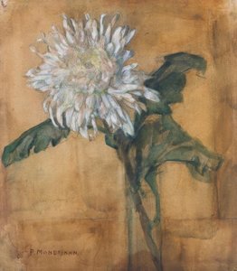 Krysantemum af Piet Mondrian