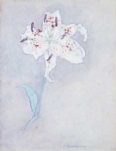 Lily, ca. 1920-25 (akvarel på papir) af Piet Mondrian