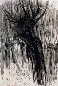 Piletræer af Piet Mondrian