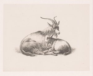 Buk og en ged af Pieter Bartholomeusz. Barbiers