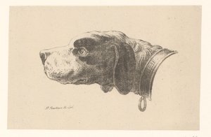 Hundehoved med halsbånd af Pieter Bartholomeusz. Barbiers