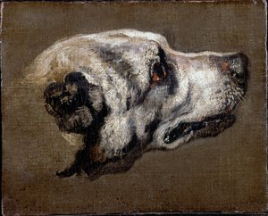 Leder af en hund