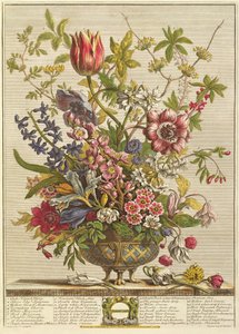 februar fra `Twelve Months of Flowers