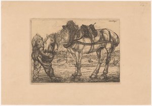 Mand fodrer en hest fra en spand L