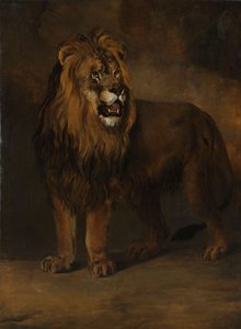 En løve fra kong Louis Napoleons menageri