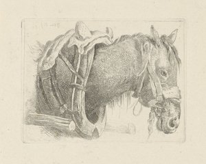 Studie af et hestehoved af Pieter Gerardus van Os