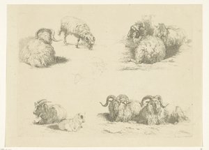 Fire forestillinger med får og geder Får og geder (serietitel) af Pieter Gerardus van Os