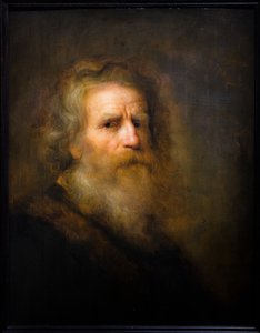 Hovedet af en gammel mand af Pieter Harmansz Verelst