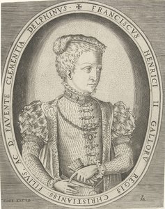 Portræt af Frans II af Frankrig 1544-1560 af Pieter Heyden van der