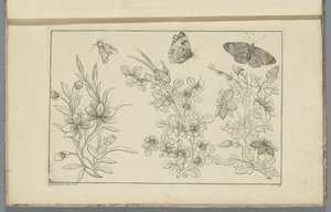 Tre blomstergrene og tre sommerfugle Kinesiske blomster og insekter (serietitel)