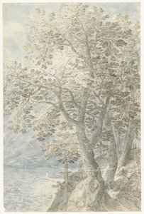 Træer ved en stejl klippevæg af Pieter Stevens (I)
