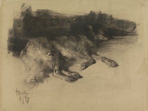 Liggende, sovende hund