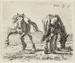 Tysk: Zwei Pferde auf einer Weide
Fransk: Les deux chevaux au pâturage
To heste på en eng af Pieter van Laer