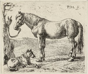 Hesten og hunden af Pieter van Laer