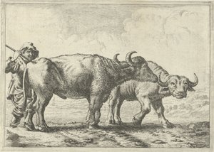 To bøfler og en hyrde af Pieter van Laer