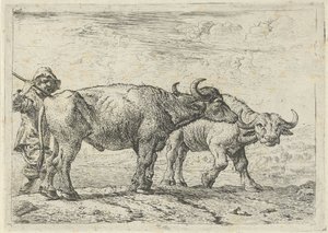 To bøfler og en hyrde af Pieter van Laer