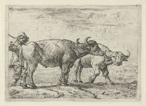 To bøfler og en hyrde af Pieter van Laer
