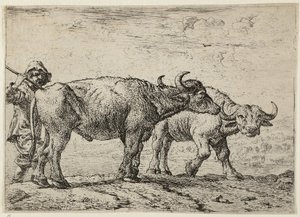 To bøfler og en hyrde af Pieter van Laer
