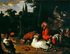 En hane, høns, kyllinger og ænder i havemiljø (olie på lærred) af Pieter van Mase
