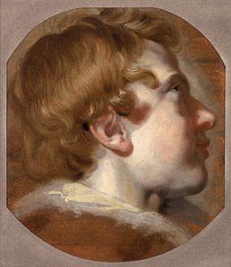 Head of a Young Boy, ca. 1620