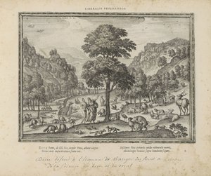 Gud viste Adam het paradijs Liberalt forbud (titel på objekt) De hellige emblemer og begge testamenters hovedhistorier (Oude Testamente) (serietitel) Billeder og figurer af bøger (serietitel) af Pieter van der Borcht (I)