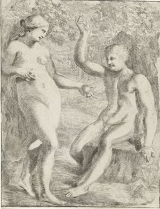 Faldet af Pieter van der Plas (II)