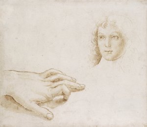 Studier af et hoved og en hånd (pen og pensel i lysebrunt blæk over metalpoint på hvidt papir) af Pietro (circle of) Perugino