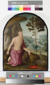 Sankt Hieronymus i ørkenen, ca. 1510-15 af Pietro Perugino