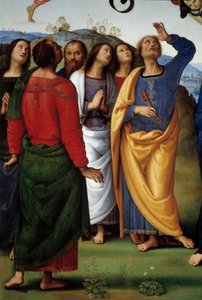 Kristi himmelfart Detalje, der repræsenterer apoterne. Maleri af Pietro Vannucci dit il Perugino (Le Perugin af Pietro Perugino