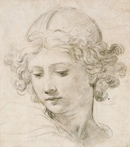 Hovedet af en engel, ser ned til venstre af Pietro da Cortona