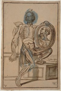 Ms Hunter 653 Plade V Anatomisk tegning, ca. 1610 (blyant og kridt på papir) af Pietro da Cortona