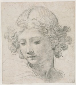 Studie for lederen af St. Michael af Pietro da Cortona