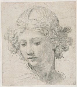Studie for lederen af St. Michael, 1633. af Pietro da Cortona