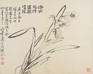 Landskaber, blomster og fugle: Narcissus, Qing-dynastiet af Luo Ping