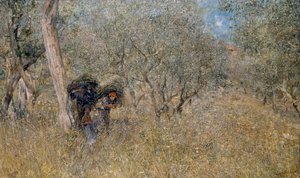 Blandt oliventræer, faskiner, af Plinio Nomellini (1866-1943), olie på lærred, 60x100 cm af Plinio Nomellini