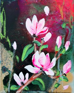 Lyserøde magnoliablomster af Poonam Choudhary