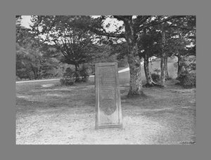 Rufus sten, New Forest Hants, c1900