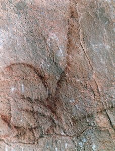  af Prehistoric Prehistoric