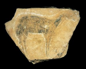 Black Doe, Parpallo Cave, Spanien, Øvre Paleolithic (maleri) af Prehistoric Prehistoric