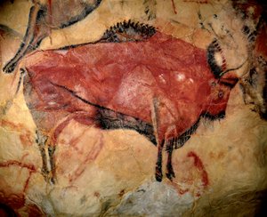 Forhistorie, øvre palæolitisk kunst: en bison eller urokse, parietal maleri i hulen i Altamira (Spanien), trækul og rød okker, mellem 35.000 og 11.000 f.Kr.