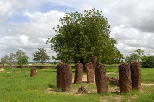 Forhistorie: Megalitisk cirkel af sten fra Wassu, Gambia (foto) af Prehistoric Prehistoric