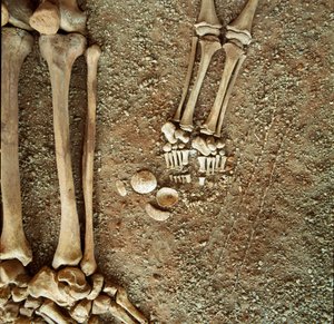 Forhistorie: dobbelt gravlæggelse af voksne og børn. Detaljebillede af begravelsesbuksen, ved fødderne af barnet, tre egernhaler, skaller og sten fra den ærlige Arene-hule (Finale Ligure), Ligurien. Mesolitikum, 7000-6000 f.Kr. Gener, museo di arch af Prehistoric Prehistoric