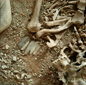 Forhistorie: dobbelt gravlæggelse af voksne og børn. Detaljevisning af begravelsesbuksen fra Candid Arene-hulen (Finale Liguria), Liguria. Jægerstenalder, 7000-6000 f.Kr. Gener, museo di archeologia ligure af Prehistoric Prehistoric