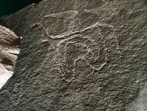 Forhistorie, klippekunst: en seriøs klippe af repræsentationen af et kvæg. Tazina stil. Stenalder 5000-2000 f.Kr. Taghit, Haut plateau du Hoggar (Ahaggar), Algeriet af Prehistoric Prehistoric