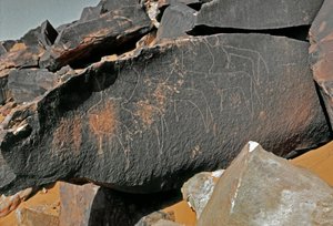 Forhistorie, klippekunst: gravsten af repræsentationen af kvæg. Tazina stil. Stenalder 5000-2000 f.Kr. Taghit, Haut plateau du Hoggar (Ahaggar), Algeriet af Prehistoric Prehistoric