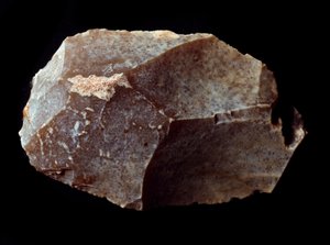 Forhistorie: skåret på stenskraber. Øvre Palæolitikum, Magdalene. Verone, Civic Museum of Natural History, Italien af Prehistoric Prehistoric