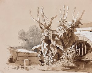 Studie af planter ved en grøft, med tilføjelser af en instruktør, 1856 (blyant, sepia-vaske og gouache på papir) af Prince Gaetano Maria Federico di Borbone