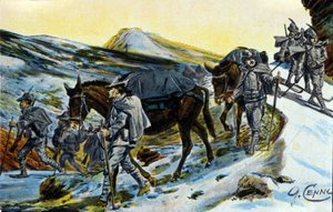 Første Verdenskrig: gruppe af italienske alpejægere i anerkendelse med deres muldyr i 1915. Illustration af Quinto Cenni (1845-1917) af Quinto Cenni