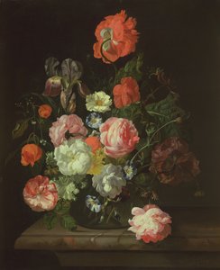 Blomst i en glasvase af Rachel Ruysch