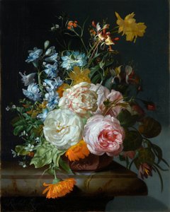 Blomster i en terrakottavase